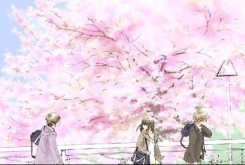 四叶成年人研究所入口含羞草